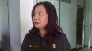 Dame Duma Apresiasi Kinerja Bobby Nasution Didalam Membangun Kota Medan