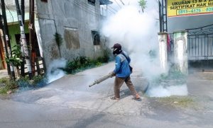 Screenshot_2023-03-11-15-54-56-06_e307a3f9df9f380ebaf106e1dc980bb6