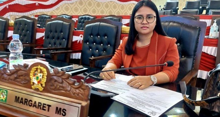Inilah Tanggapan Dewan Terkait Warga Belawan Bahagia Minta Pembangunan Tanggul Rob Dilanjutkan